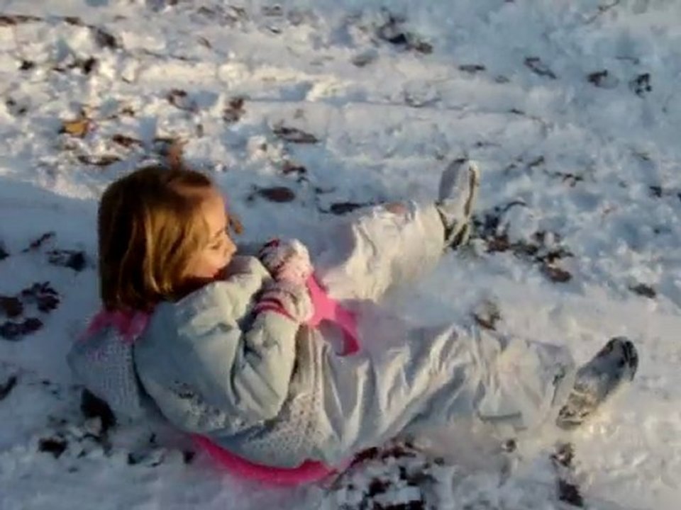 neige2010