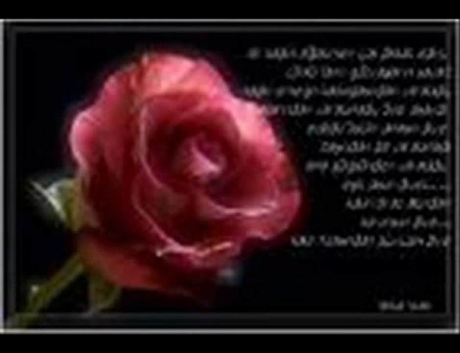 Gullu deymesmis sana
