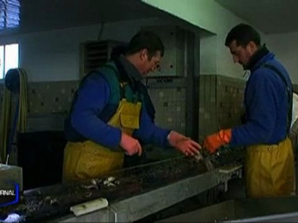 Les ostréiculteurs soulagés (Bouin)