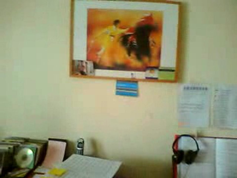 les tableaux toros