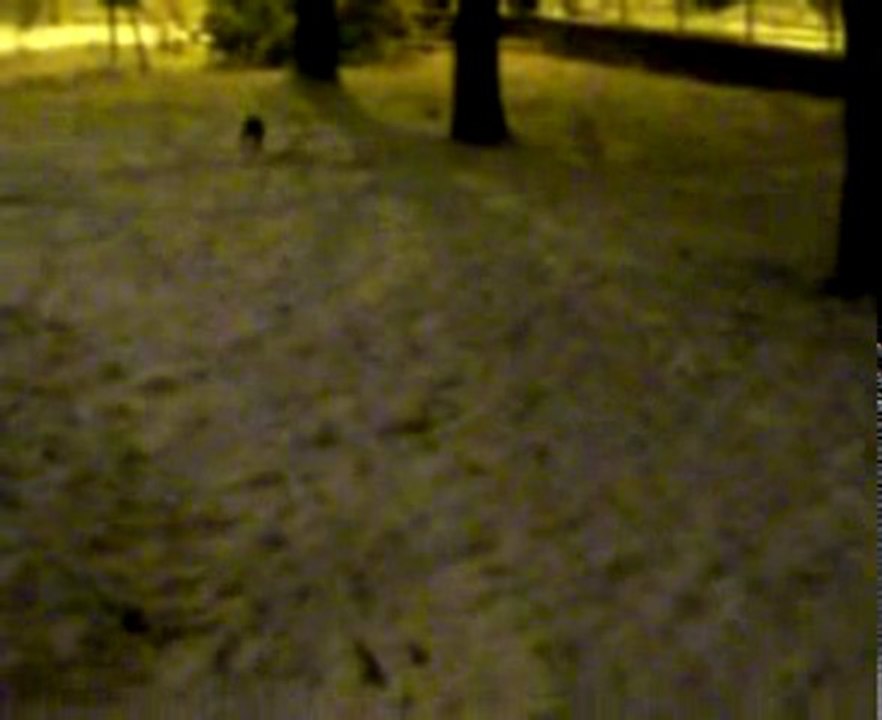 MOLLY & LA NEIGE(2) 2010