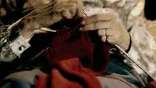 videos de gatos - futbol