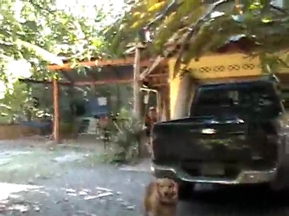 Casa Moabi