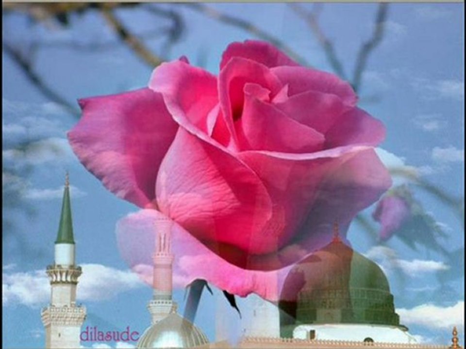 Mustafa Cihat  Emrin Olur  2563 (Menzil DURAK)