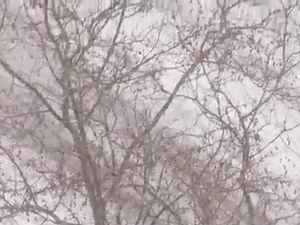 neige