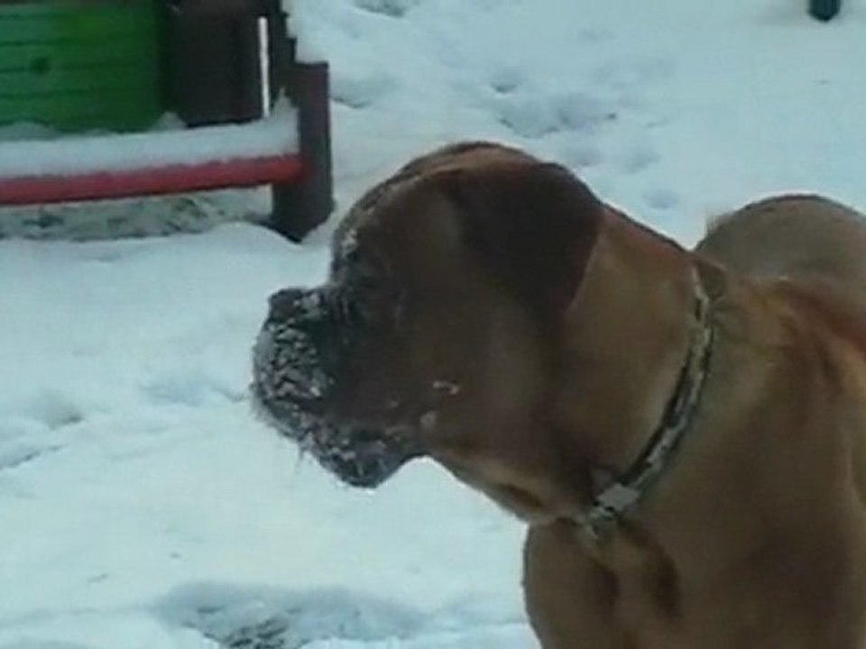 Egus 19 décembre 2009