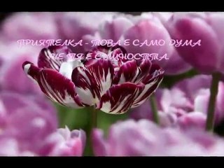 ПРОСТИ МИ! МИТКО ШЕРЕВ - ОСЪДЕНИ ДУШИ