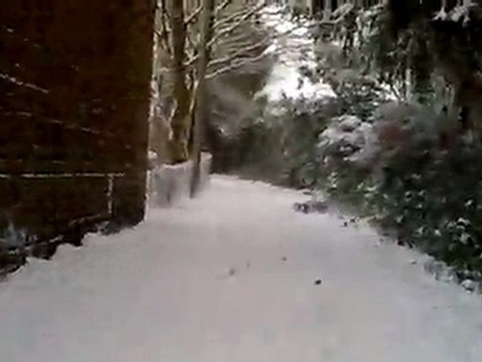 S18 paddles power II