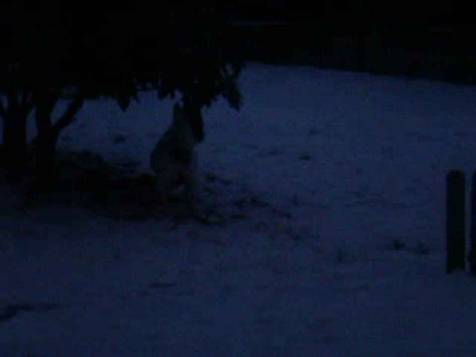 cachou pris de folie...