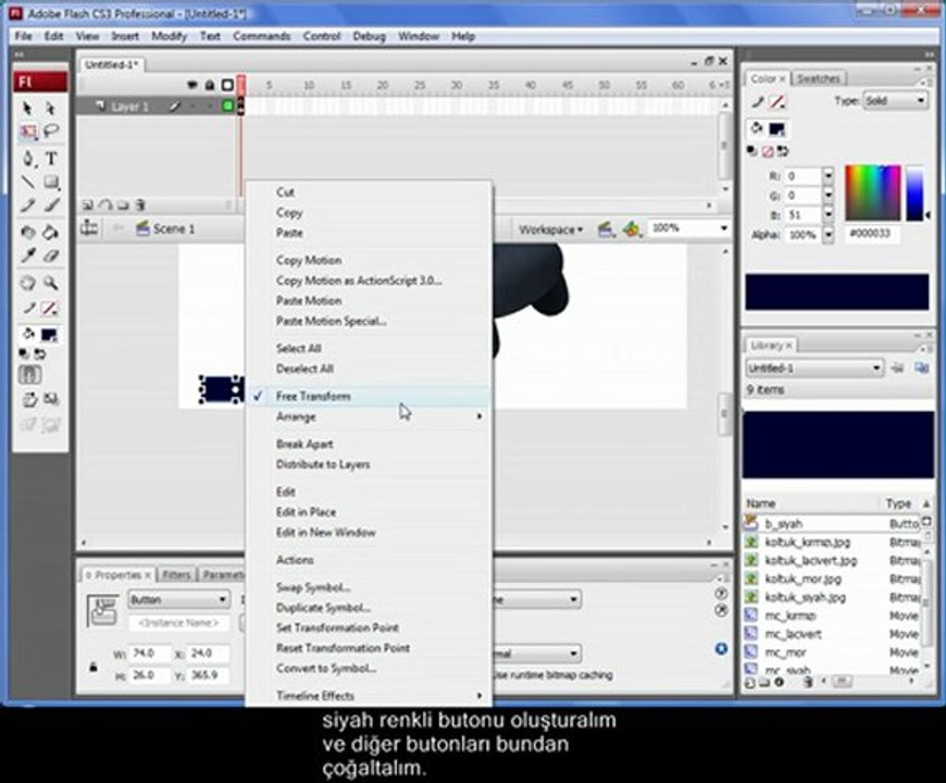 07_flas_actionscript_renklendirme
