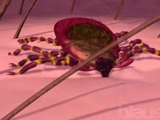 Enfermedad de Lyme (v.o. ingles)