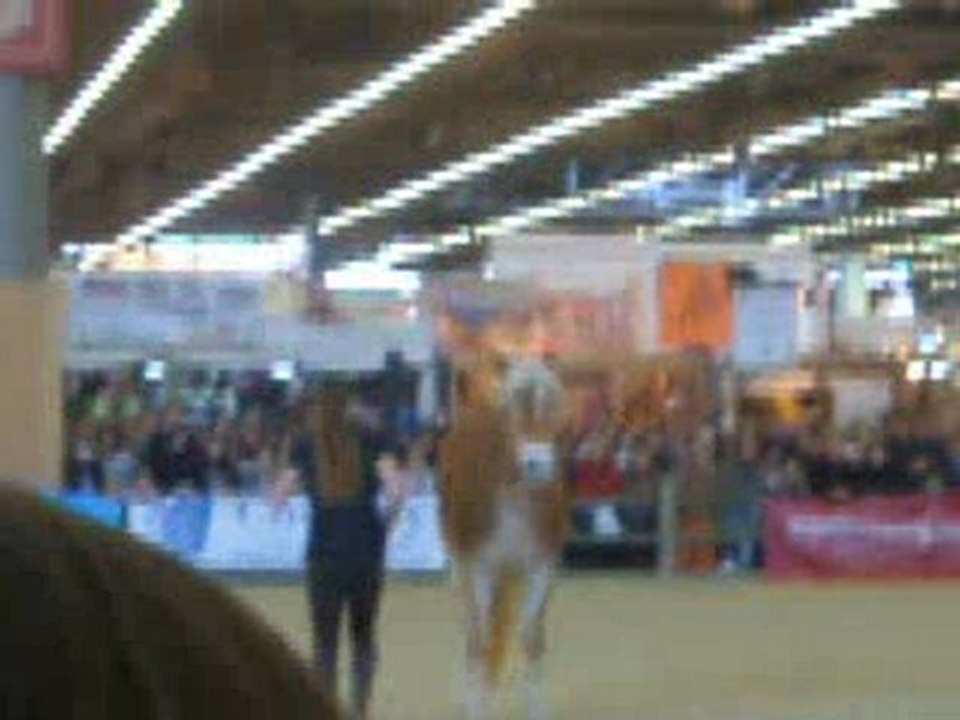 Salon du cheval Paris 2009-Pauline et Naïade