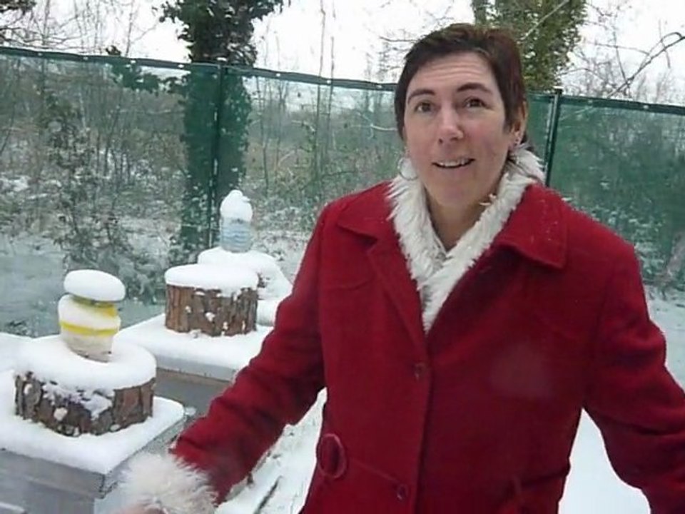 Le Museum sous la neige !!!