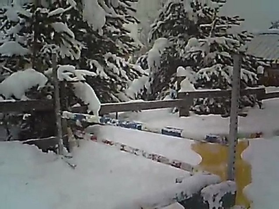 Swing saut en liberté