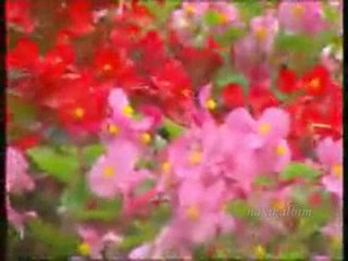 Mustafa Demirci Sultanım