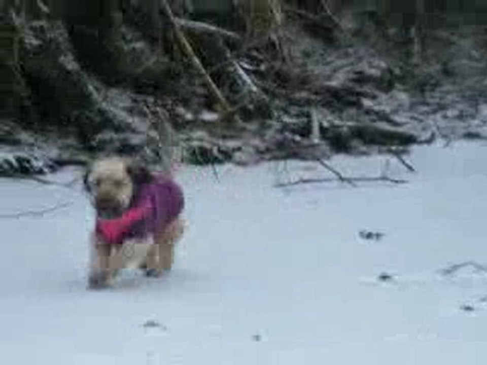 sur la glace