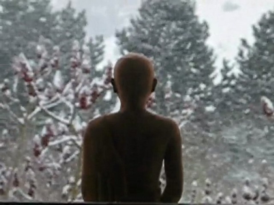 Forte neige en Janvier 2010