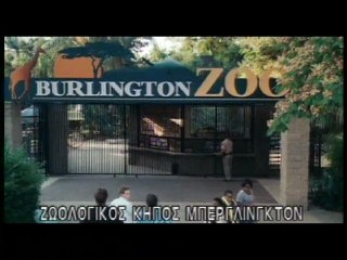 "ΟΙ ΓΕΡΟΛΥΚΟΙ"