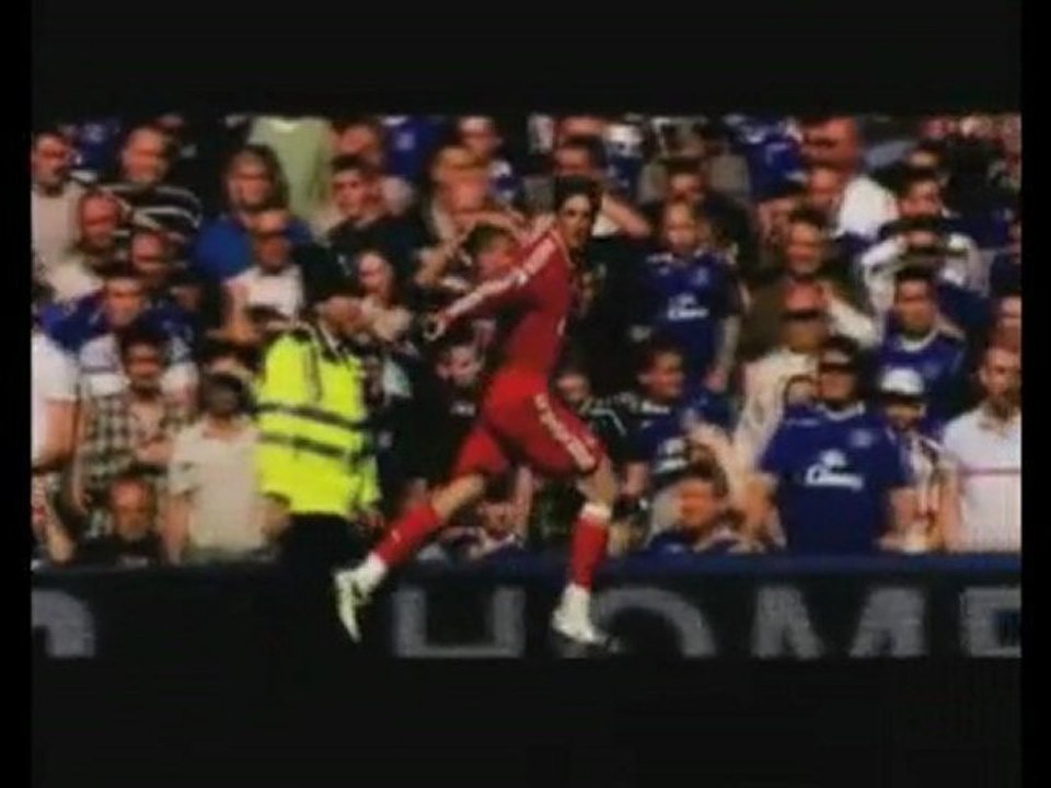 Fernando Torres "El Niño"