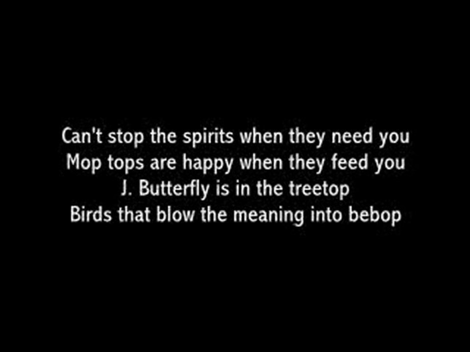 Red Hot Chili Peppers - Cant Stop (lyrics)