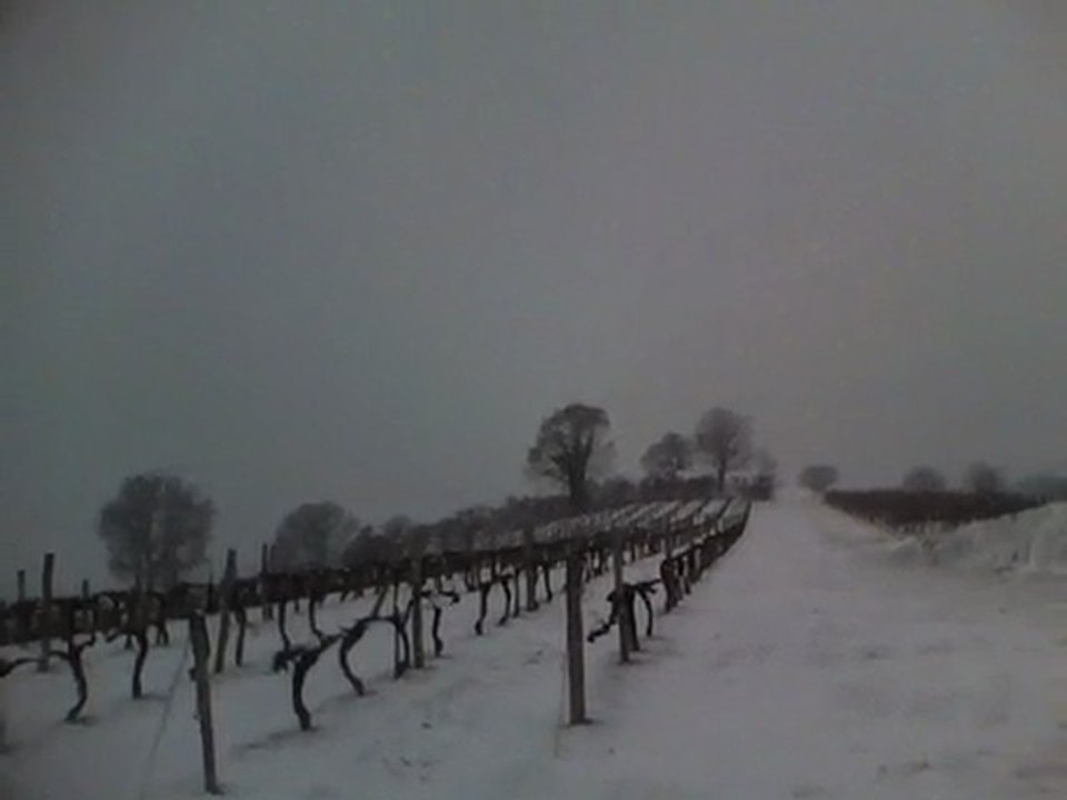 Ballade dans la neige