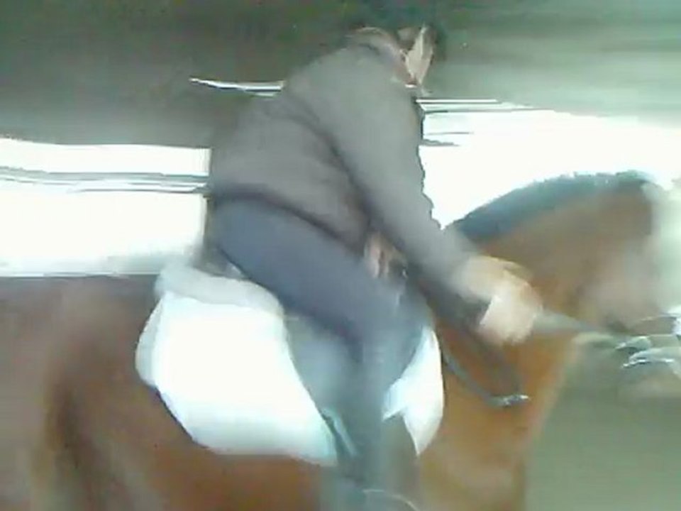 Saut de puce