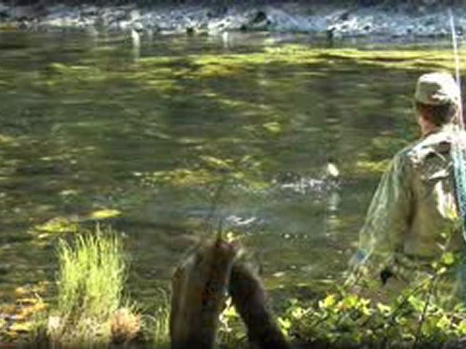 New Zealand Fly Fishing DVD - The Dead Drift - Stealth Films