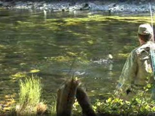 New Zealand Fly Fishing DVD - The Dead Drift - Stealth Films