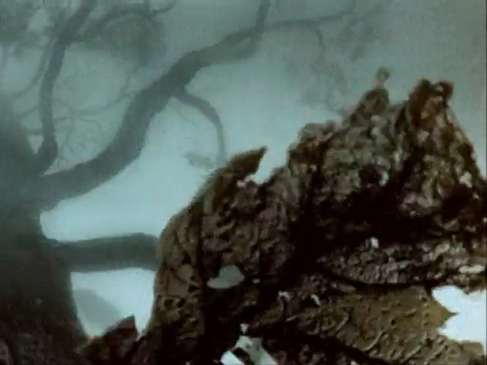 ЕЖИК В ТУМАНЕ-" The hedgehog in a fog "