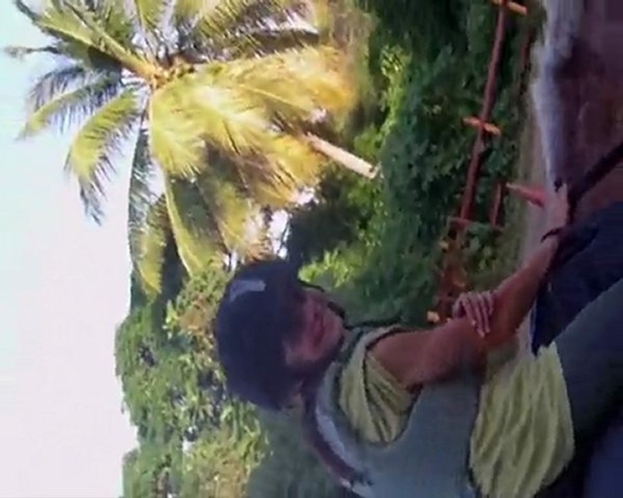 Cours du mercredi en saut d'obstacle