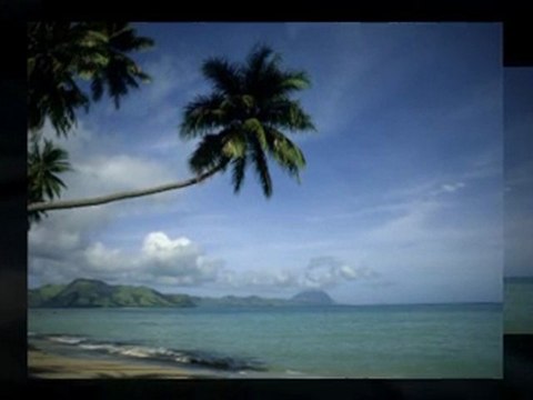 Niche Blueprint 2.0- Is this course worth it?