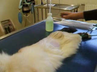 Désinfection avant chirurgie