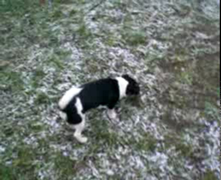 MOLLY & LA NEIGE
