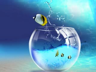 Chill Out: My New World 🌍