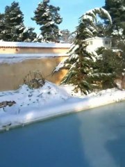 La neige à Maussane-les-Alpilles, janvier 2010
