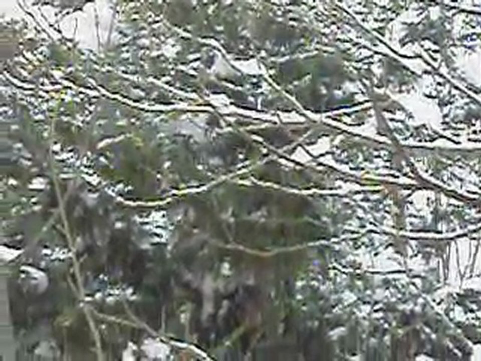 Tombe la neige!