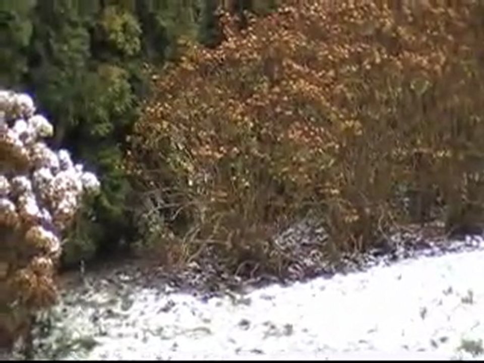 nosDob_Neige
