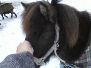 Zaïdy et mon chéri