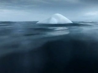 Iceberg Meltdown: Greenpeace Warns of Urgent Climate Crisis 🌍