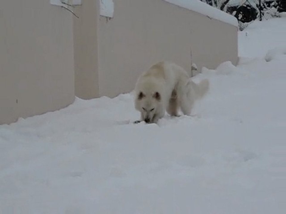bonhomme de neige façon Coyote