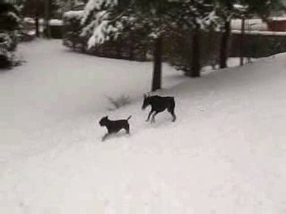 dans la neige