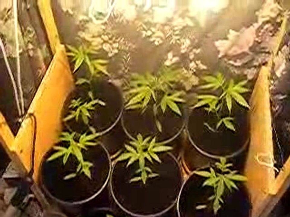 Keya Le plus beau des Staff - une vidÃ©o ComÃ©die et Humour