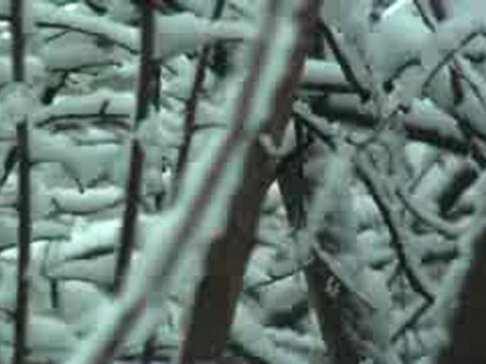 Neige et vent le 8 janvier 2010