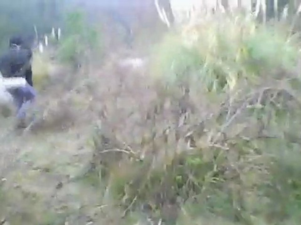 Airsoft du 10/01/10 DNA