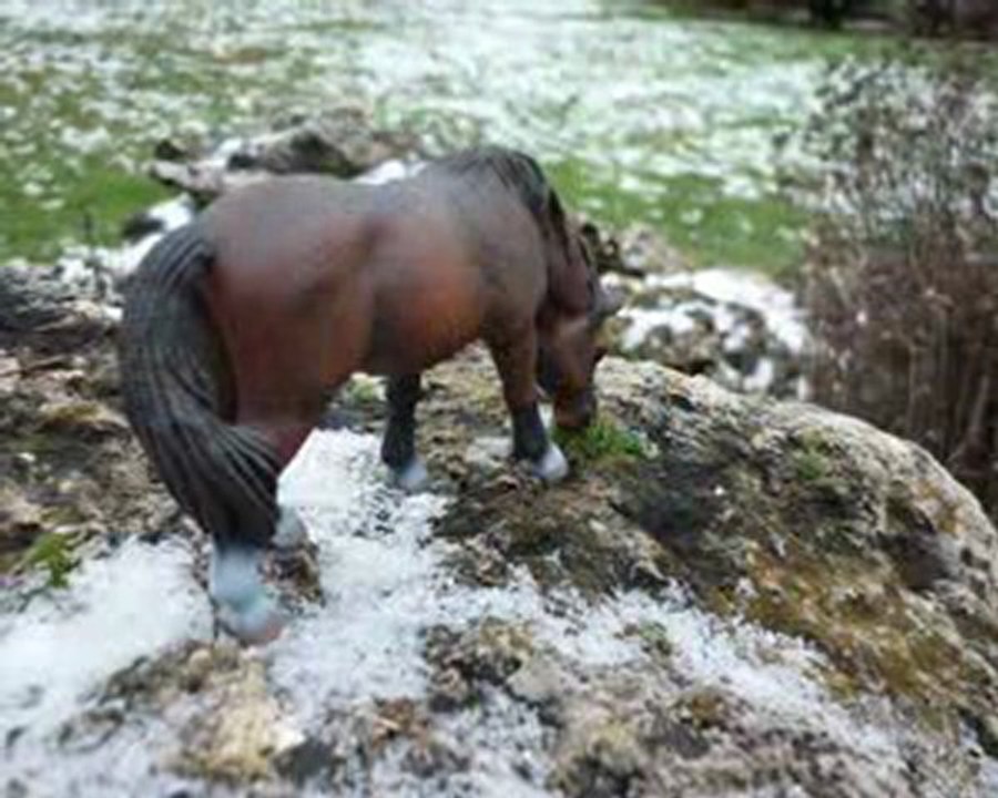 Schleich ♥