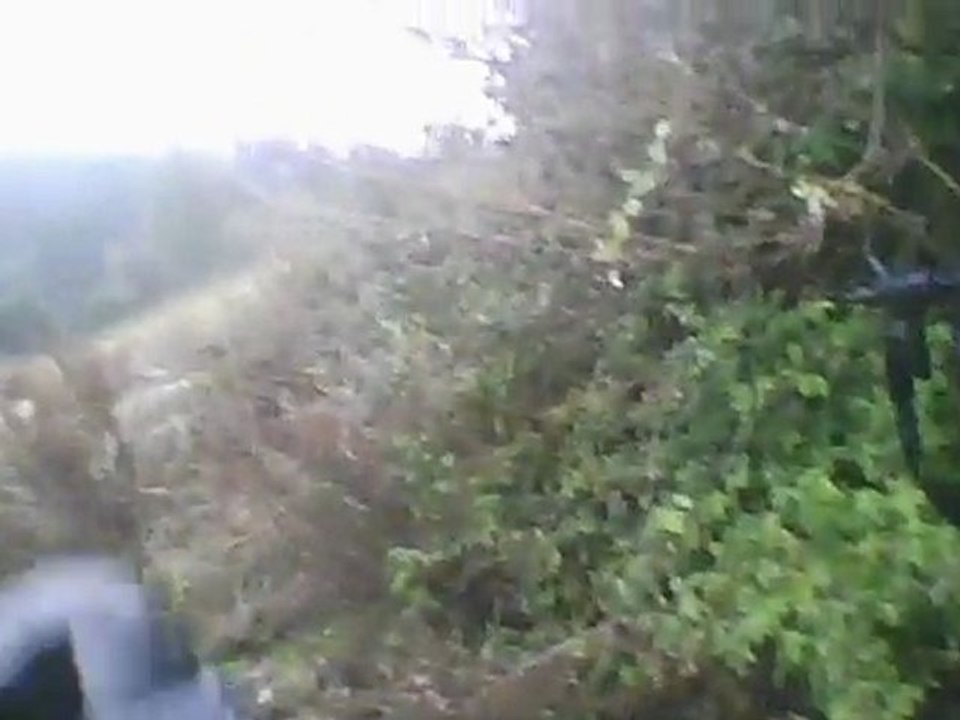 Airsoft du 10/01/10 DNA