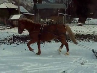 Luge joering avec ignes