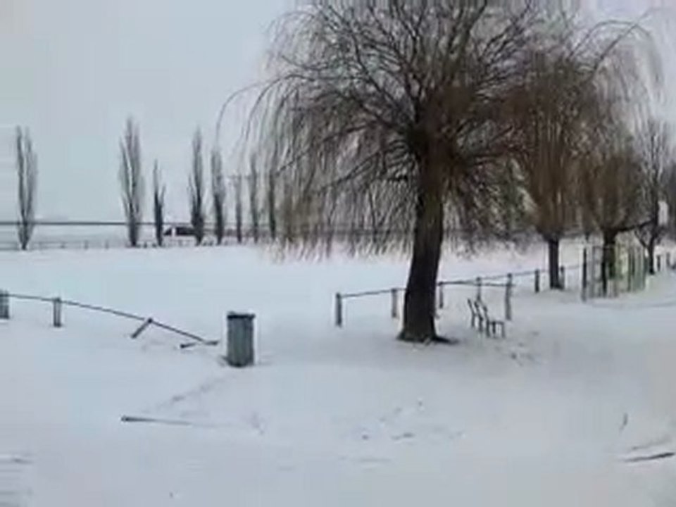 Neige à Moyenvic, janvier 2010