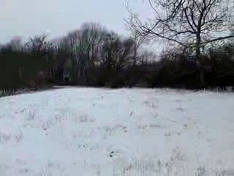 Neige à Moyenvic, janvier 2010