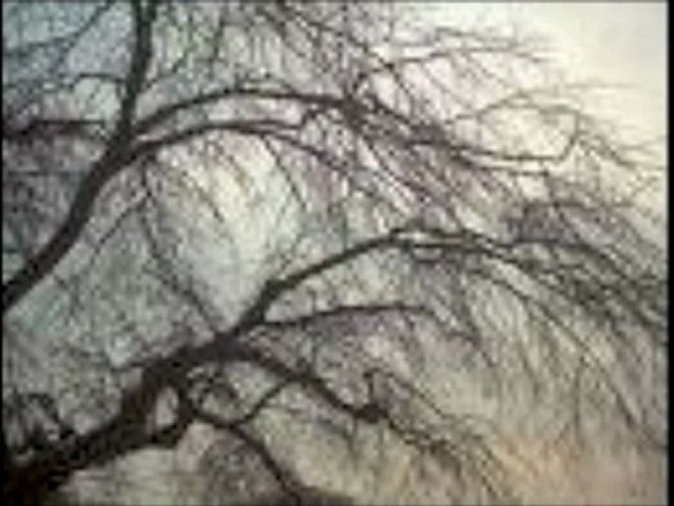 Mano Solo :"Des années entières"  (10 janvier 2010)